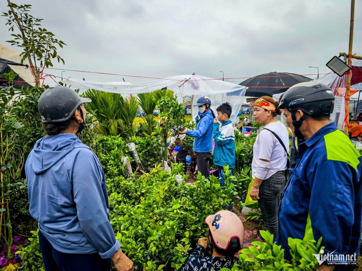 Trắng đêm bán ‘lộc xanh’ ở chợ Viềng Ninh Bình, nông dân thu chục triệu đồng - 2