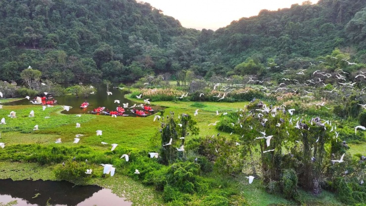 Ảnh: Khu du lịch Thung Nham