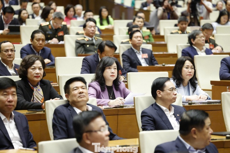 Các đại biểu dự hội nghị. Ảnh: Như Ý.