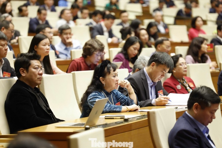 Các đại biểu dự hội nghị. Ảnh: Như Ý.