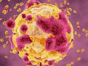 Loại cá 'nuôi lớn' tế bào ung thư, ngon đến mấy người Việt cũng không nên ăn nhiều