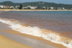 Biển Gia Lai xuất hiện dải nước màu đỏ dài hơn một km