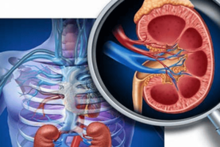 6 'nguyên tắc' sống còn của người bệnh suy thận, giúp bảo vệ chức năng thận tốt hơn