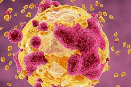 Loại cá 'nuôi lớn' tế bào ung thư, ngon đến mấy người Việt cũng không nên ăn nhiều