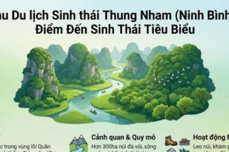 Thung Nham ở đâu? Khám phá vườn chim lớn nhất miền Bắc giữa lòng Cố đô Hoa Lư