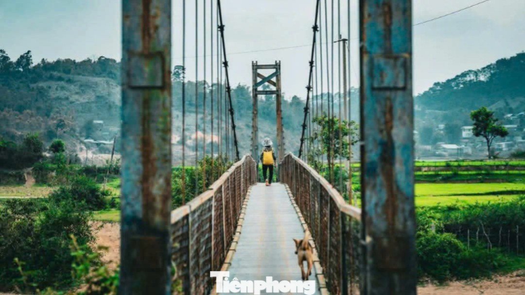 Kỳ thú săn mây ở Măng Đen - 28