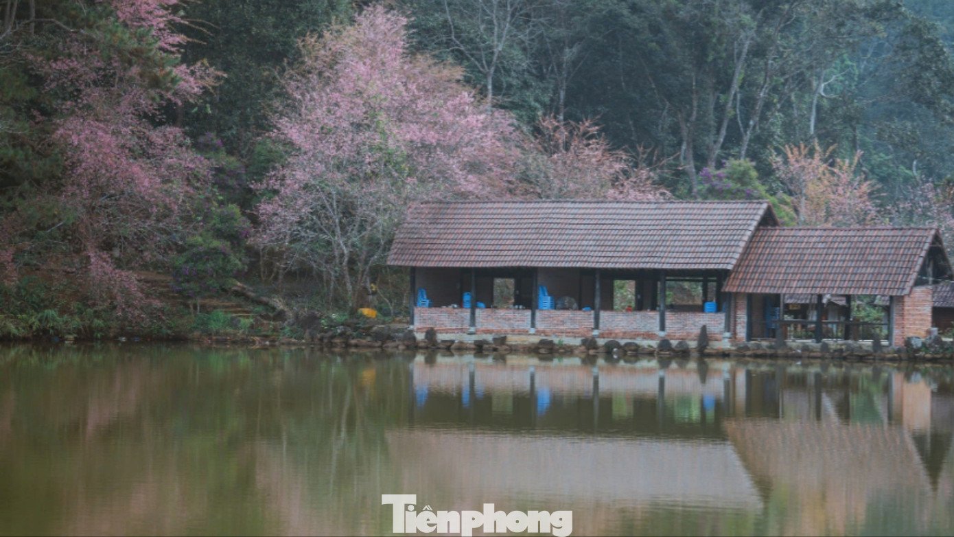 Dậy sớm ở Măng Đen, du khách được đứng giữa biển mây.