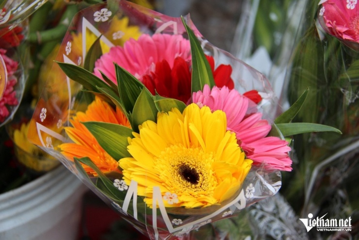 Hoa đồng tiền được bày bán nhiều nhất với nhiều loại giá. Ảnh: Hà Nguyễn