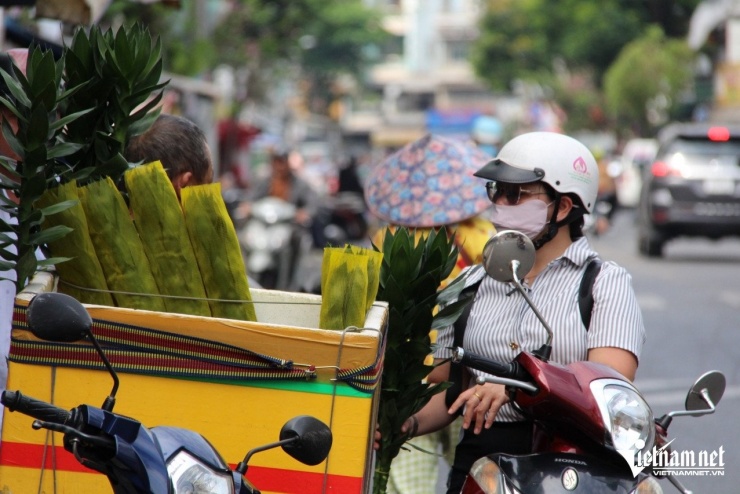 Loại cây này cũng được nhiều người tìm mua. Ảnh: Hà Nguyễn