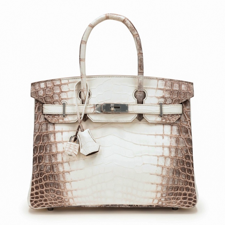 Loạt túi da cá sấu bạch tạng tiền tỷ của Đặng Thu Thảo - 2