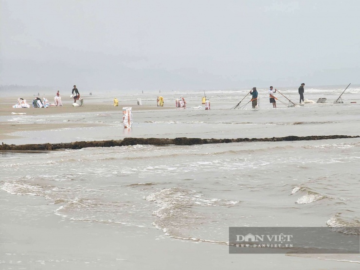 Ốc tép dạt trắng bờ biển Hà Tĩnh, người dân cào cả tấn mỗi ngày, thu tiền triệu.
