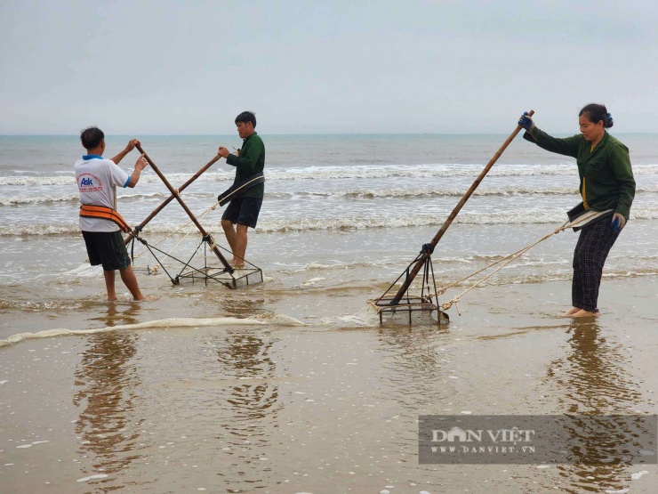 Ven bờ biển Hà Tĩnh có loài ốc gì mà dân ra cào bắt bán hàng tấn, đúng kiểu mùa kiếm tiền tháng Giêng? - 2