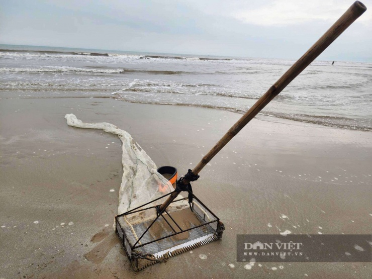 Để đánh bắt được loài ốc này, ngư dân phải chuẩn bị cào tự chế cao từ 1,2-1,5m, phía dưới đính kèm thêm dụng cụ cào bằng inox và túi lưới dài khoảng 5m để đựng ốc.