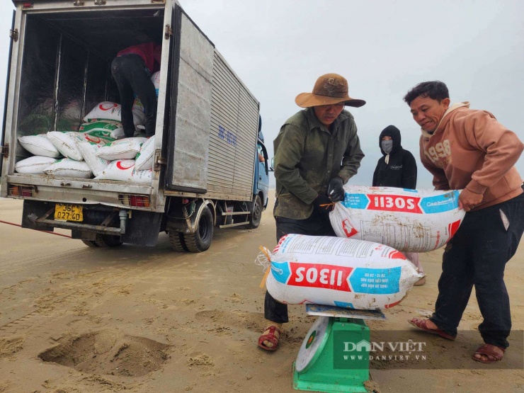 Ven bờ biển Hà Tĩnh có loài ốc gì mà dân ra cào bắt bán hàng tấn, đúng kiểu mùa kiếm tiền tháng Giêng? - 10