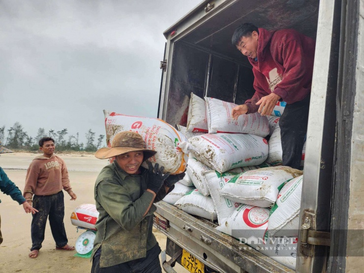 Thương lái điều xe tải xuống tận bờ biển để thu mua ốc tép.