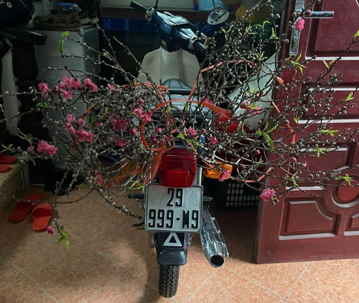 Chiếc Cub 82-70cc đời 1989 này thuộc đời tem dọc “dưa”, đặc trưng với bộ tem sọc đỏ - đen chạy dọc thân xe. Ảnh: NVCC.