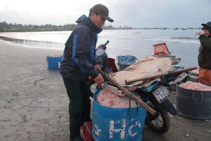 Thương lái mua tại bờ để phân phối vào các các chợ trên địa bàn. Ảnh: D.B