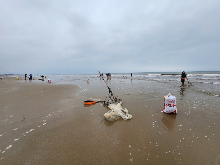 Những ngày đầu năm mới, dọc bờ biển xã Đồng Tiến và xã Yên Hòa (Hà Tĩnh) trở nên nhộn nhịp khi số lượng ốc tép dạt vào trắng bờ. Tận dụng thời điểm "vàng" này, người dân hối hả chuẩn bị dụng cụ ra để cào ốc.