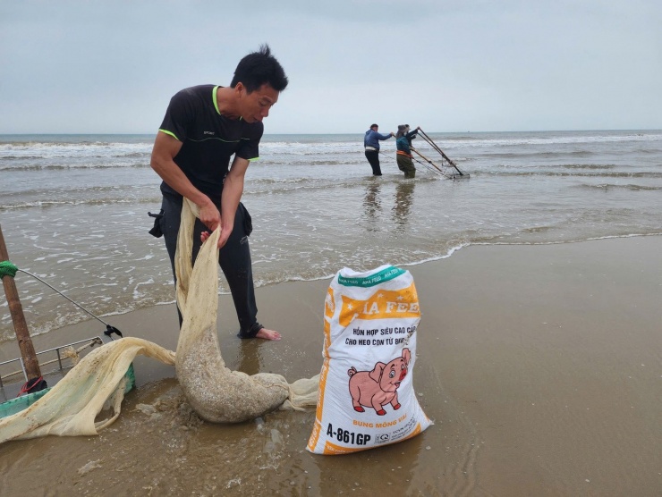 “Những ngày này chúng tôi tranh thủ đi cào ốc để bán, kiếm thêm thu nhập sau dịp Tết. Tại đây, gia đình ít thì cào được khoảng 300-500 kg mỗi buổi, nhiều thì đạt từ một tấn đến hơn 1,5 tấn, tùy theo con nước”, ông Trần Văn Dân (trú thôn Đông Văn, xã Đồng Tiến) chia sẻ.