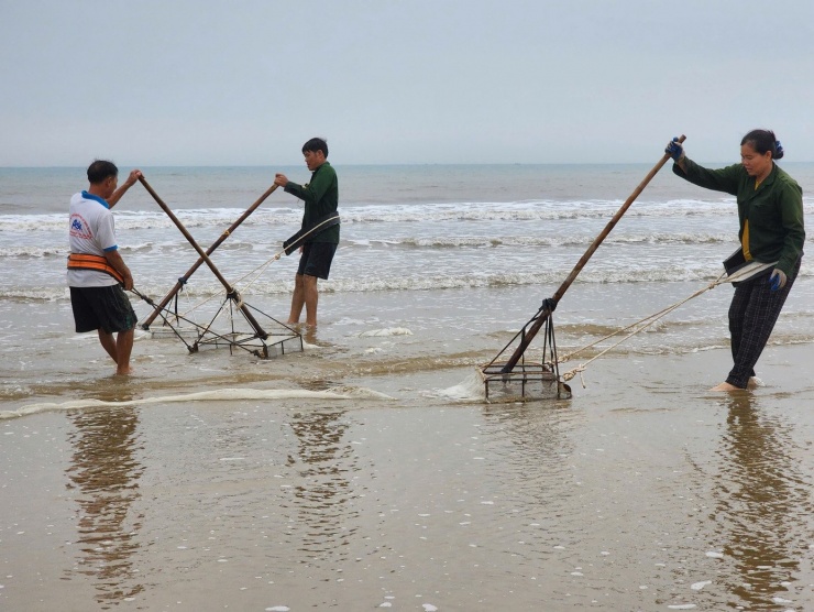 Người dân địa phương cho biết hiện tượng ốc tép xuất hiện dày đặc vào đầu xuân không phải là điều hiếm gặp, bởi những năm trước cũng từng xảy ra. Tuy nhiên, thông thường phải đến khoảng tháng 3 hoặc tháng 4 âm lịch ốc tép mới dạt vào bờ nhiều, còn năm nay hiện tượng này diễn ra sớm hơn so với mọi năm.