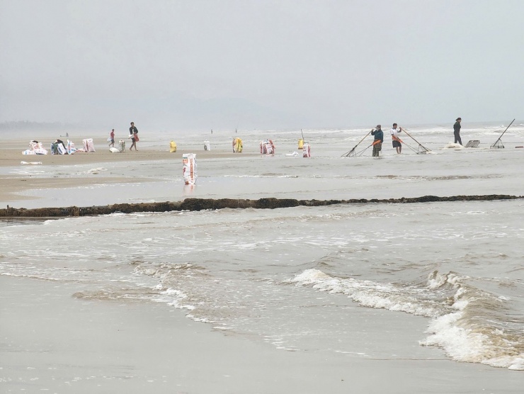 Không khí lao động khẩn trương, tấp nập kéo dài suốt buổi sáng, tạo nên khung cảnh mưu sinh sôi động trên vùng biển đầu xuân.