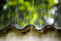 Mưa dông khắp cả nước, nhiều nơi mưa to