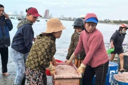 Con 10 chân vẫn nổi dày như mọi năm, dân nơi này ở Đà Nẵng cứ khênh sọt lớn sọt nhỏ nặng lặc lè mà cục tiền cầm nhẹ đi