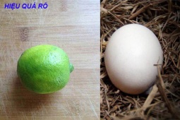 Tin tức sức khỏe - Ai bảo trào ngược dạ dày là bệnh dai dẳng, thử mẹo này đúng 3 tháng xem đảm bảo hiệu quả quá bất ngờ