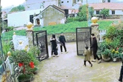 Con dâu về ngoại ăn Tết, bố mẹ chồng lái xe 9 tiếng vượt 400km về thăm