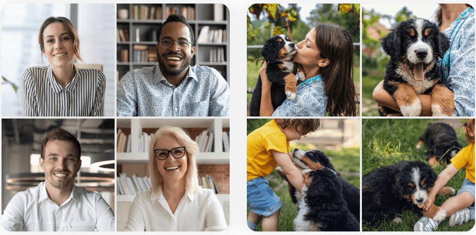 Các ảnh trong album có thể tự động tạo nhóm theo khuôn mặt hay nội dung, địa điểm,...