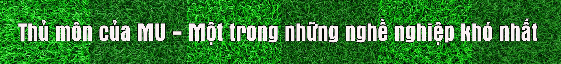 Senne Lammens: Từ vô danh đến người hùng mang niềm tin cho