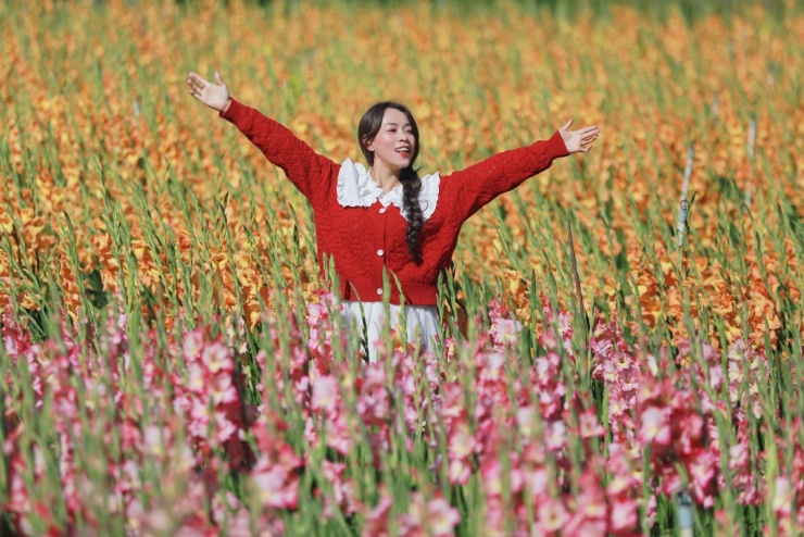 Đồng lay ơn nở muộn trở thành điểm check-in hot 'không ngờ' - 2