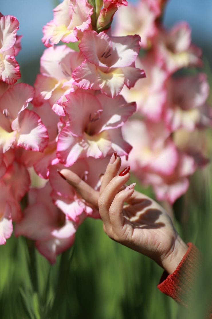 Đồng lay ơn nở muộn trở thành điểm check-in hot 'không ngờ' - 5