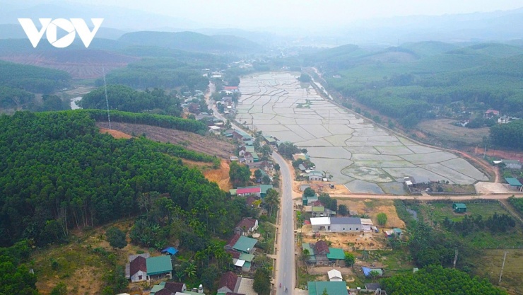 Cây chè hoa vàng (Camellia chrysantha) là một loài thực vật quý có giá trị cao về dược liệu và kinh tế. Loại cây này mọc tự nhiên tại các rừng ở xã Thông Thụ, Đồng Văn, Tiền Phong, Mường Nọc, Châu Kim, Hạnh Dịch thuộc huyện Quế Phong (cũ), tỉnh Nghệ An. Cây bụi hoặc thân gỗ nhỏ cao 3 - 5 mét. Cành non màu nâu nhạt, có lông mịn, cành già nhẵn. Lá có cuống, dài 5 - 8 mm, hơi có lông. Phiến lá hình bầu dục thuôn hoặc bầu dục rộng, dài 15 - 40 cm… (Ảnh: Hải Chi).