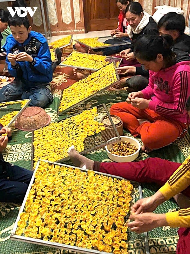 Hoa trà sau khi thương lái và các cơ sở thu gom xong sẽ thuê nhân công thực hiện các công đoạn chế biến. Từng bông sẽ được nhặt và rửa sạch, để cho ráo nước. Ở huyện Quế Phong cũ có nhiều cơ sở chế biến và kinh doanh trà hoa vàng.(Ảnh: Hải Chi).