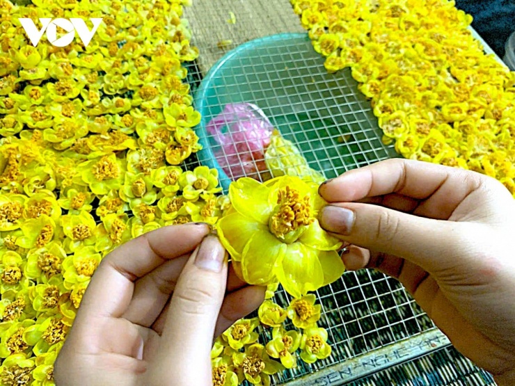 Tại công đoạn bóc tách bông đòi hỏi nhân công phải tỉ mẩn để giữ được nhuỵ hoa, cánh hoa không gãy và rơi. (Ảnh: Hải Chi).