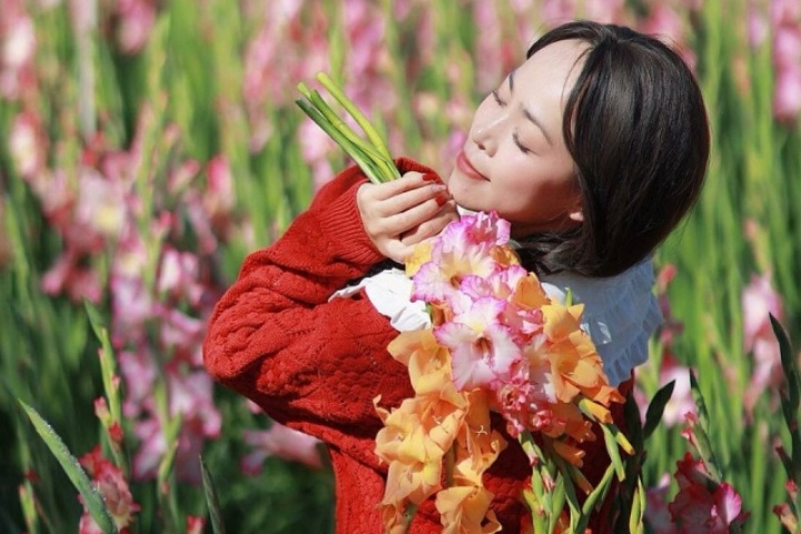 Đồng lay ơn nở muộn trở thành điểm check-in hot 'không ngờ'