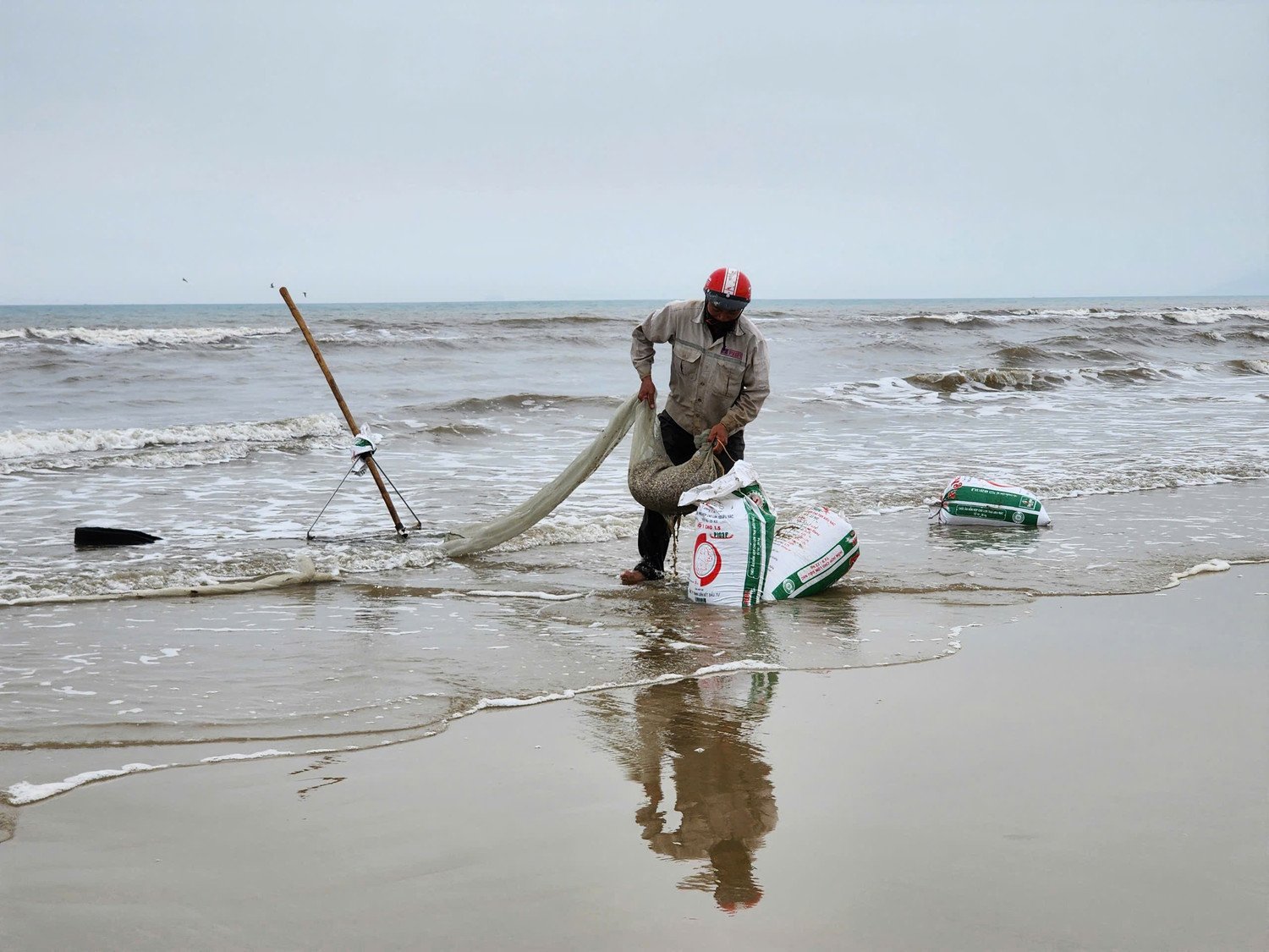 Theo ghi nhận, ốc tép nằm lẫn dưới lớp cát ướt. Người dân sử dụng cào tre dài khoảng 1,5-2 m, phía sau gắn túi lưới dài 6-7 m. Trong quá trình cào, họ đi thụt lùi để lưỡi cào xới lớp cát phía dưới, ốc tép theo đó trôi vào túi lưới. Khi đủ lượng, người dân dừng lại, đổ ốc vào bao rồi tiếp tục quay ra biển.