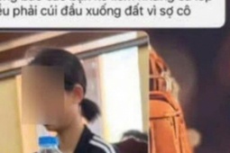 Tạm ngừng giảng dạy với cô giáo bị tố bắt học sinh "liếm đất" trong giờ học Đạo đức