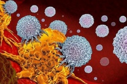 Loại rau quen thuộc trên mâm cơm người Việt có thể nuôi lớn tế bào ung thư nếu ăn sai cách