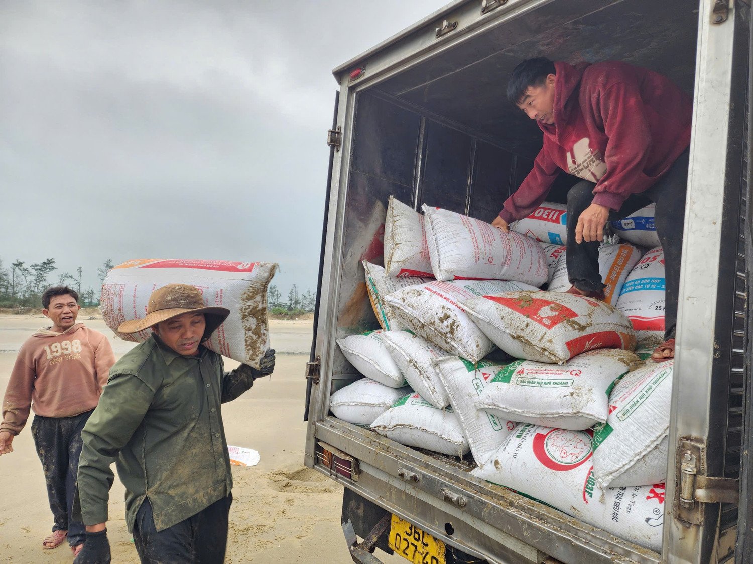 Tại bãi biển, thương lái bố trí xe tải chờ sẵn để thu mua. Ốc tép được cân và vận chuyển ngay trong buổi sáng. Theo người dân, giá thu mua tại bờ khoảng 3.000 đồng/kg, sản lượng có ngày lên đến hàng chục tấn.