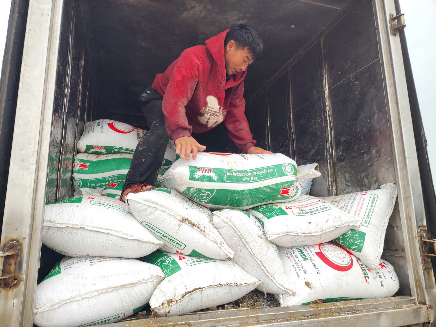 Tại bãi biển, thương lái bố trí xe tải chờ sẵn để thu mua. Ốc tép được cân và vận chuyển ngay trong buổi sáng. Theo người dân, giá thu mua tại bờ khoảng 3.000 đồng/kg, sản lượng có ngày lên đến hàng chục tấn.