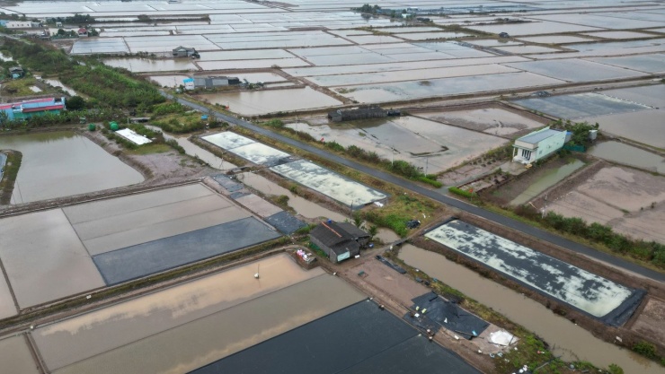 Tỉnh Cà Mau có tổng diện tích sản xuất muối vụ năm 2025-2026 hơn 1.540ha (trong đó, diện tích sản xuất theo phương pháp truyền thống 1.340 ha, còn lại là diện tích sản xuất trải bạt). Cánh đồng muối chủ yếu thuộc địa bàn Bạc Liêu cũ.