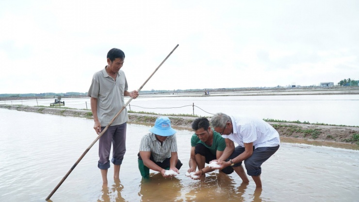 Trong 2 ngày 26-27/2, cơn mưa trái mùa xuất hiện trùng với giai đoạn cao điểm sản xuất muối, gây thiệt hại nặng nề tình hình sản xuất muối của diêm dân.
