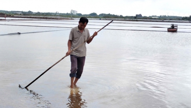 Tại xã Đông Hải (tỉnh Cà Mau), diện tích muối bị thiệt hại 775 ha của 323 hộ (100% diện tích sản xuất muối của xã).