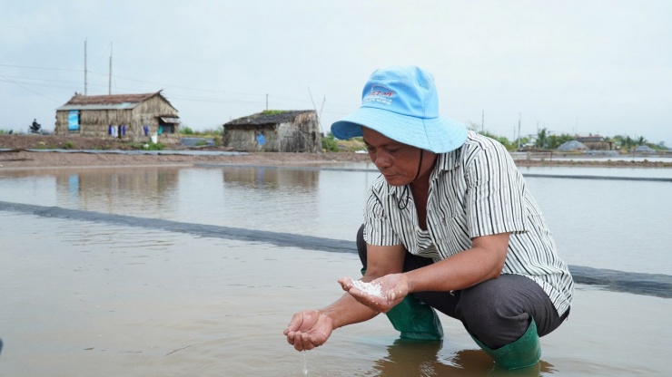 Tổng sản lượng muối xã Long Điền bị thiệt hại ước tính hơn 1.350 tấn, giá trị khoảng 1,4 tỷ đồng.