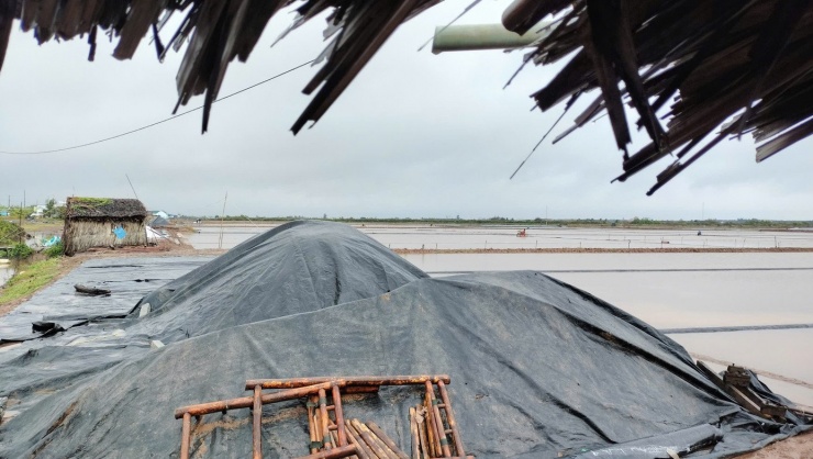 Sau mưa, diêm dân buộc phải xả bỏ nước trong ruộng, phơi khô sân, gây lại độ mặn nguồn nước. Phải mất khoảng hai tháng, nếu thời tiết thuận lợi mới có thể tái sản xuất.