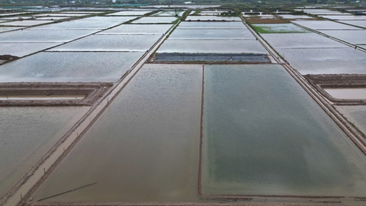 UBND các xã có diện tích muối bị thiệt hại đã báo cáo về Sở NN&amp;MT tỉnh Cà Mau để tổng hợp, đề xuất các phương án hỗ trợ, giúp diêm dân sớm ổn định lại hoạt động sản xuất.