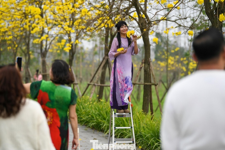 Đổ xô check-in đường hoa phong linh rực rỡ nhất Thủ đô - 9