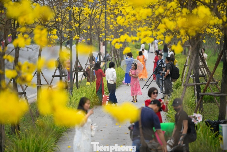 Theo một nhiếp ảnh gia tự do, việc thay đổi cao độ giúp bức ảnh có chiều sâu, hạn chế vướng người phía dưới và bắt được nền hoa trải dài phía sau.